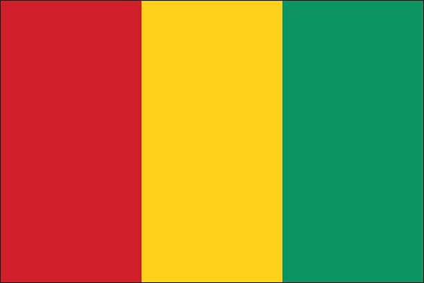 Guinea flag,vector background