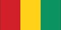 Guinea flag,vector background